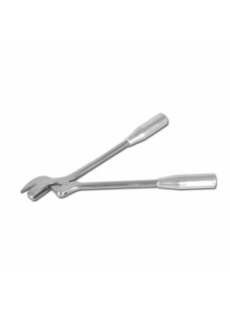 Plaster Shear